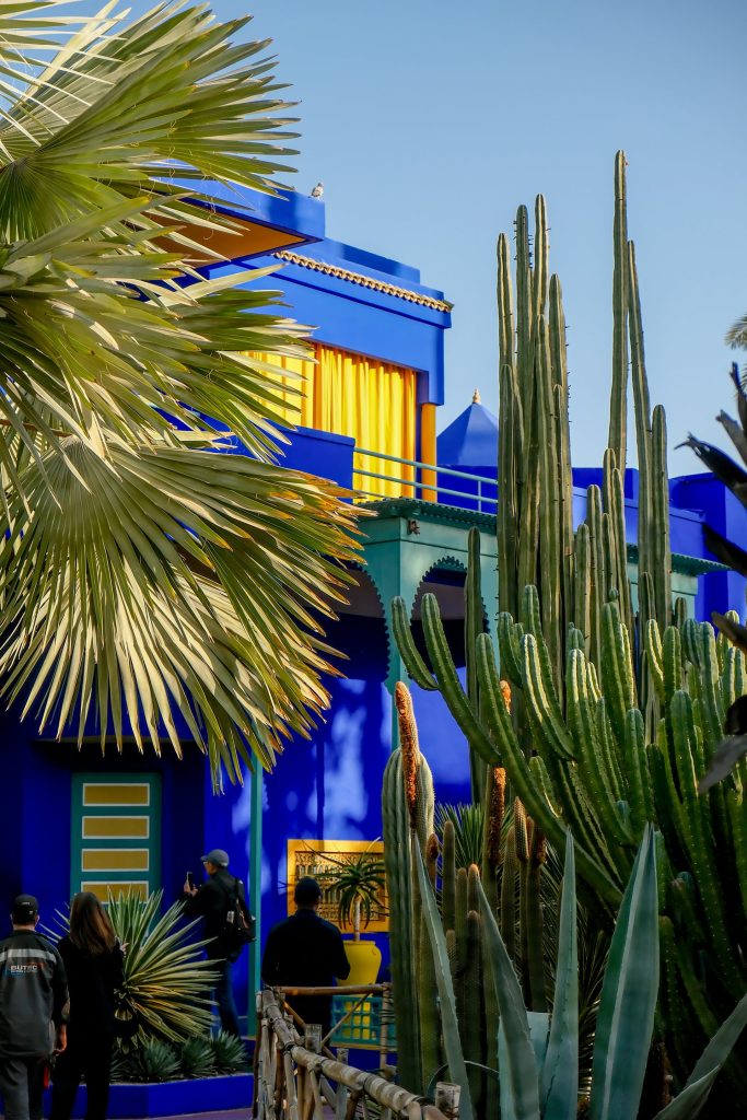 Things to do in Marrakech